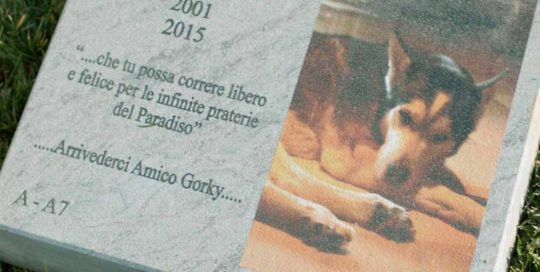 inumazione